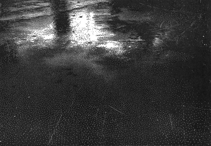 On the edge of light, 2024, linocut, 27,5x40cm