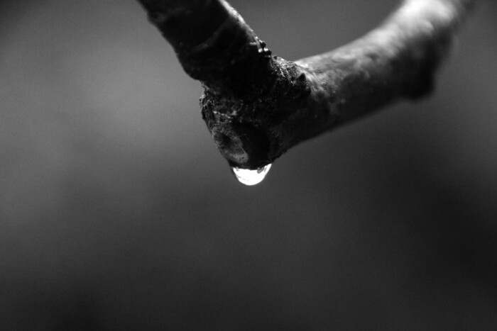 Tropfen_Konni_Lychatz